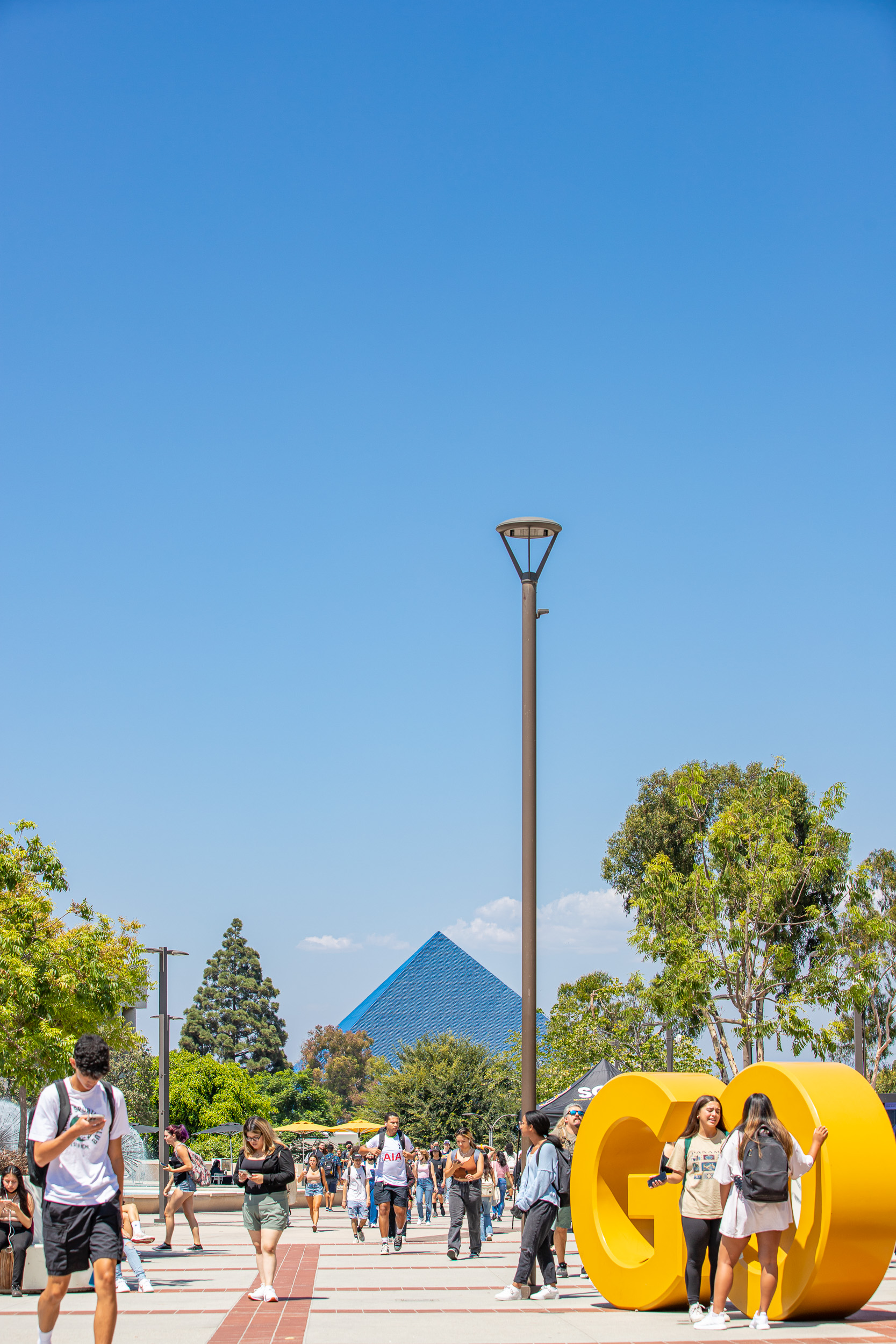 Sample Gallery California State University Long Beach